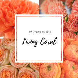 Living Coral