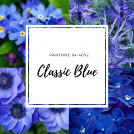 Classic Blue